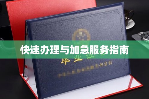 上虞快速办理与加急服务指南