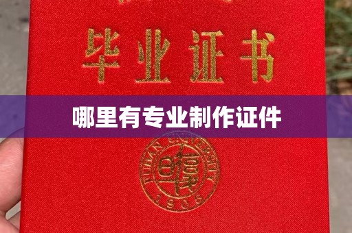 上虞哪里有专业制作证件